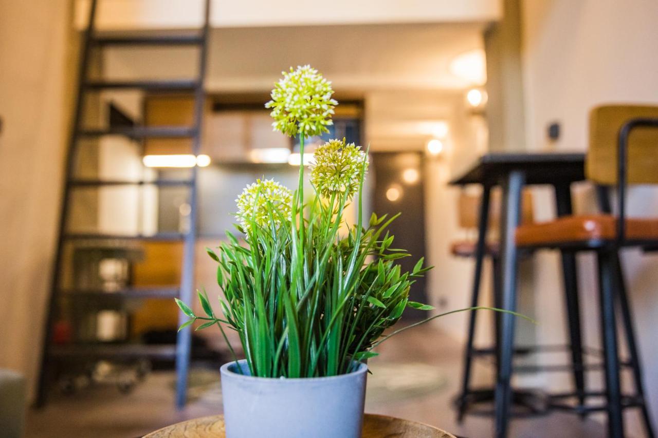 Urbanjungle - Your Trendy Loft In Central Budapest Extérieur photo